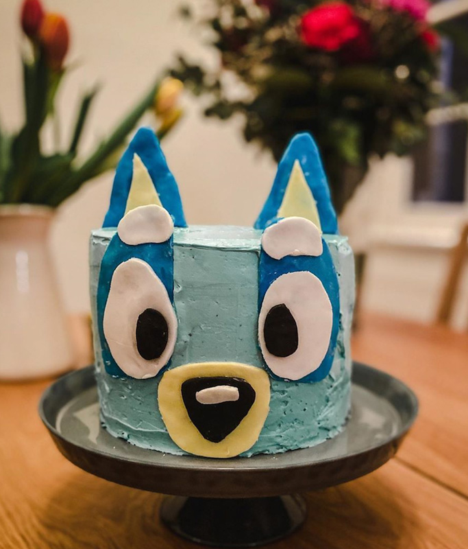 Bluey and Bingo Cake – The Cake People