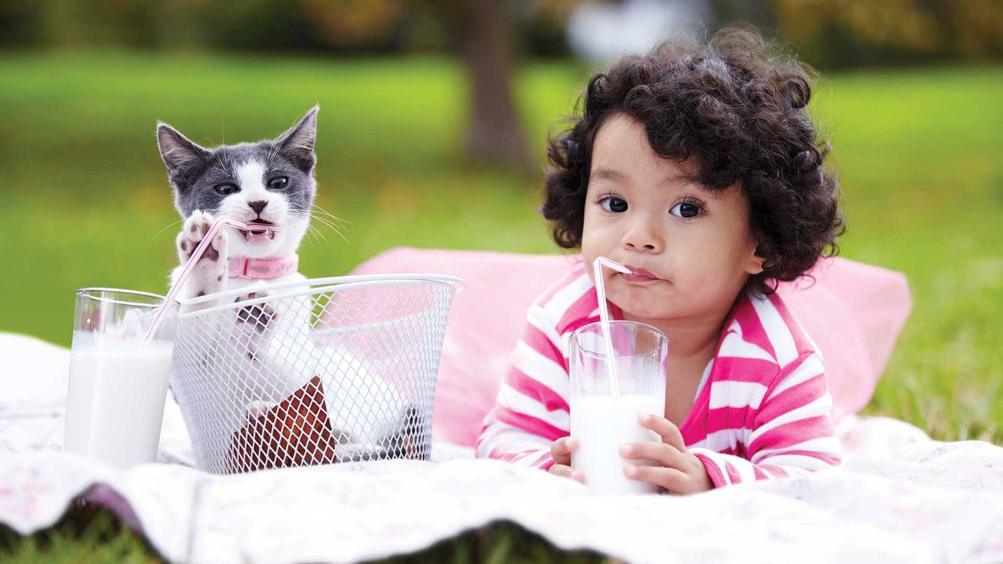 When can I introduce dairy to my child’s diet?