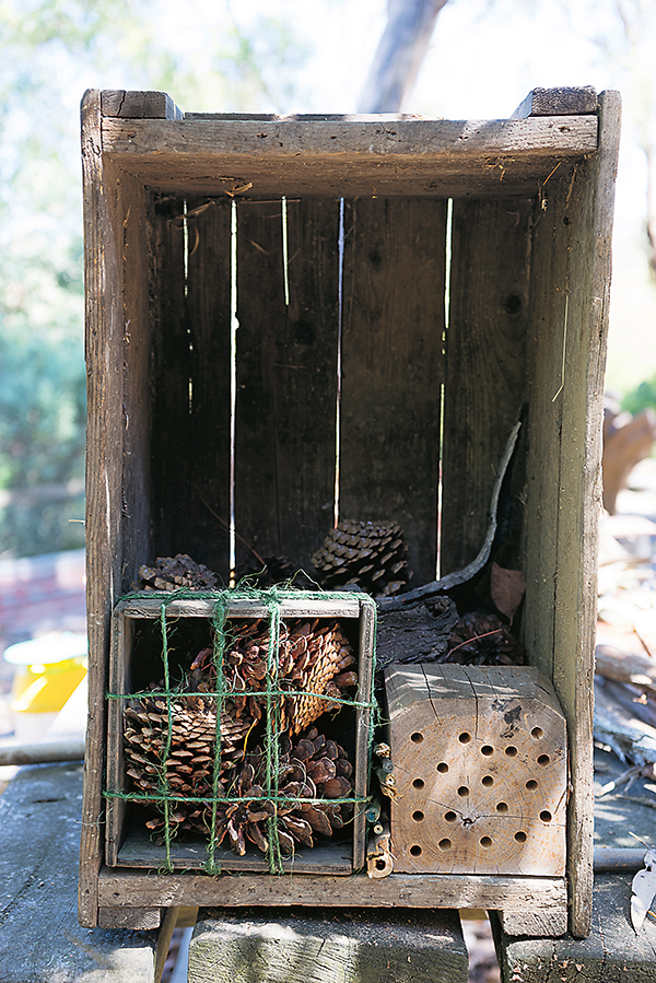 Building an insect hotel - step 1