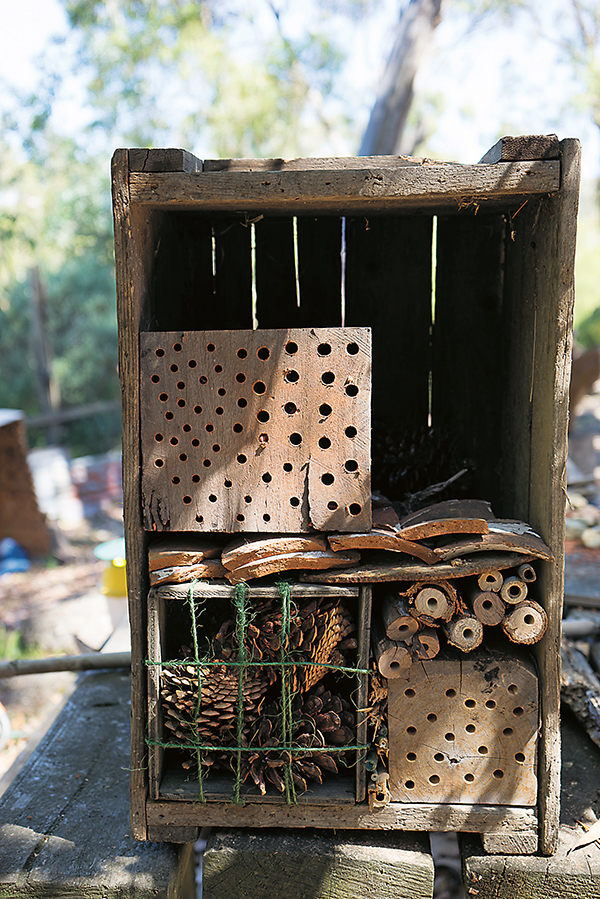 Building an insect hotel - step 2