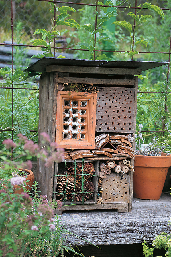 Where to place an insect hotel