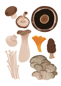 How to cook mushroom perfectly