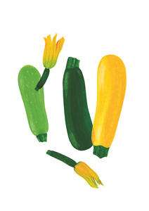 How to cook zucchini perfectly