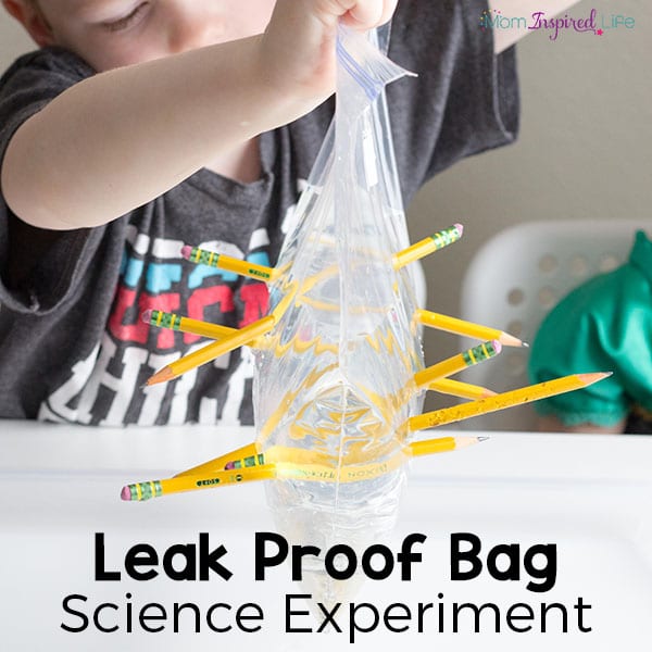 Leak proof bag experiment