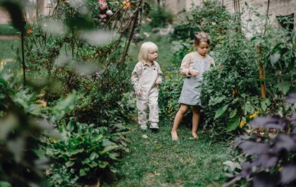 Garden ideas for kids