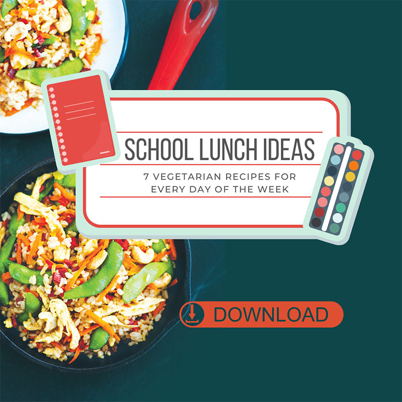 School lunch ideas free recipe ebook