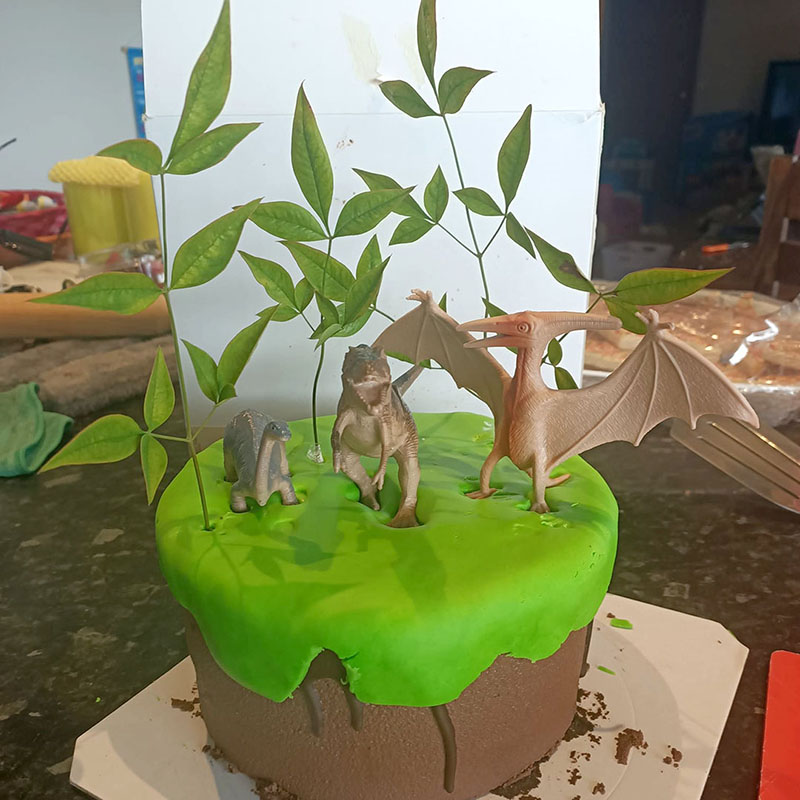 1 Dinosaur cake - Karen E