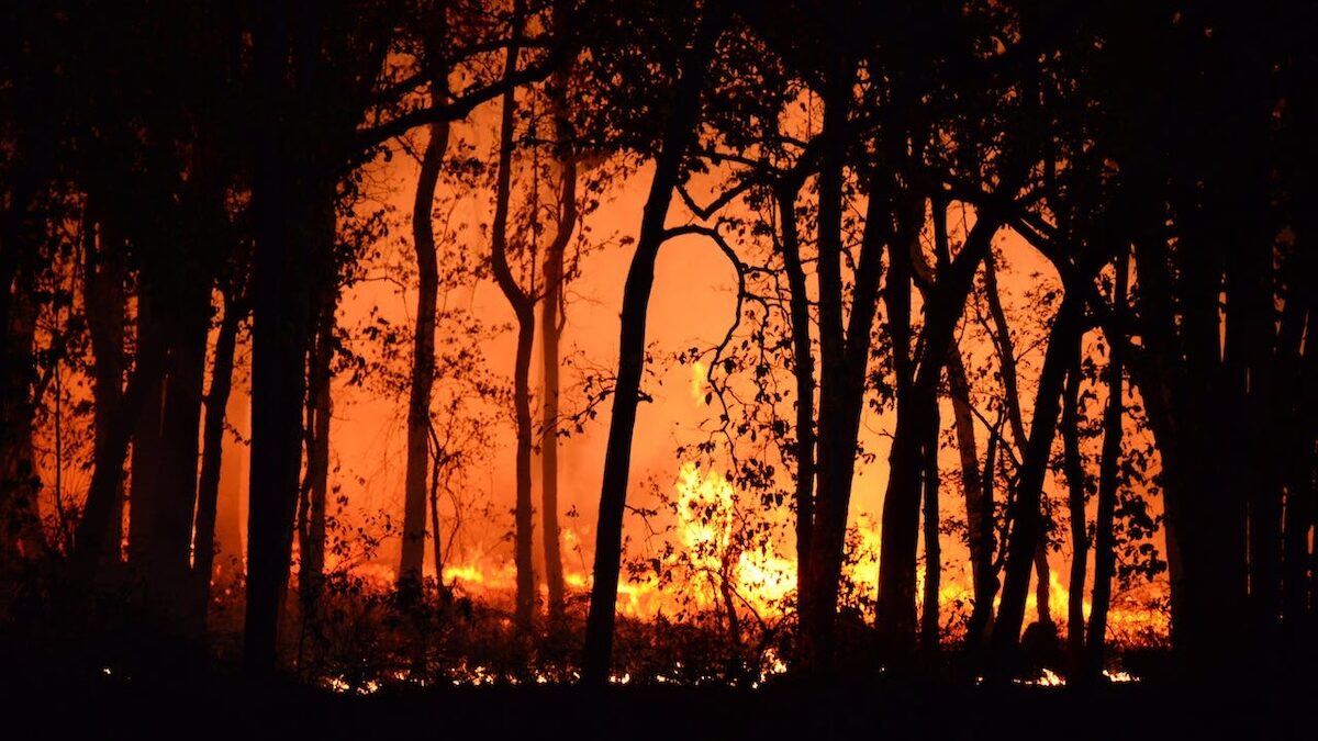 5 things to tell your kids to keep them safe this bushfire season
